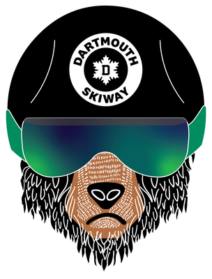 Big Cats Camp Snowboard